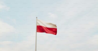 Fines Rise at Polish Fuel Stations
