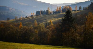 Special Education in Poland