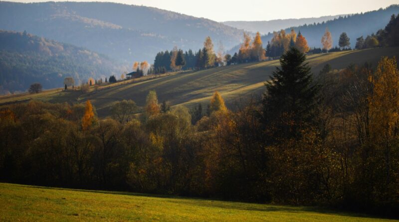 Special Education in Poland