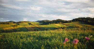 Buying Property in Poland as a Foreigner