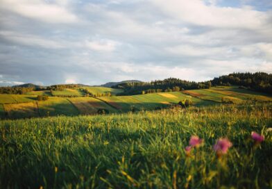 Buying Property in Poland as a Foreigner