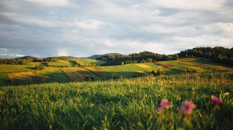 Buying Property in Poland as a Foreigner