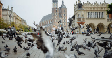Autism Support in Poland
