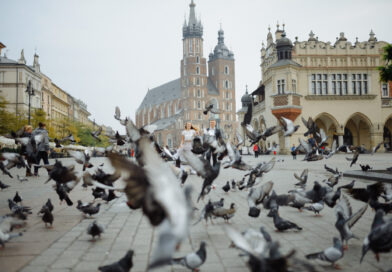 Autism Support in Poland