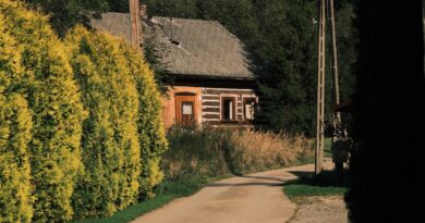 Investigation After 15-Year-Old Gave Birth in Subcarpathia Investigation After 15-Year-Old Gave Birth in Subcarpathia